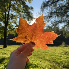 Виолетта Щукина